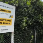 antalyada-narenciye-bali-koruma-altinda-vzLRXwzU.webp