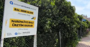 antalyada-narenciye-bali-koruma-altinda-vzLRXwzU.webp