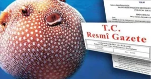 balon-baligi-avciligi-destegi-artirildi-7ixt1Q2B.webp