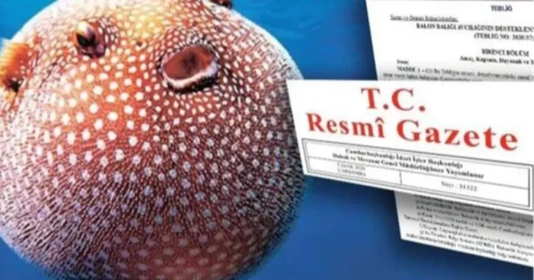 balon-baligi-avciligi-destegi-artirildi-7ixt1Q2B.webp