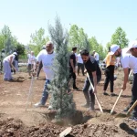 diyarbakirda-engelliler-fidan-dikerek-gelecege-nefes-oldu-1DajvymH.webp