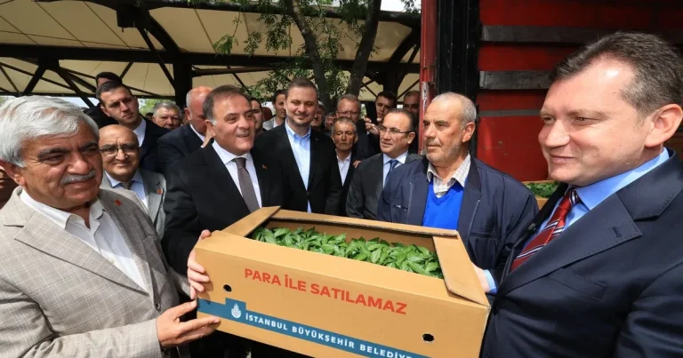 istanbullu-ciftcilere-karsiliksiz-destekler-suruyor-u9C3aUya.webp