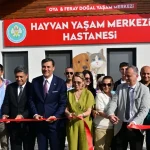manisada-sokak-hayvanlari-icin-hayvan-yasam-merkezi-hizmete-acildi-5CgyT7XX.webp