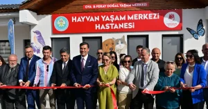 manisada-sokak-hayvanlari-icin-hayvan-yasam-merkezi-hizmete-acildi-5CgyT7XX.webp