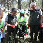 orman-yanginlarina-karsi-es-zamanli-temizlik-DTkvFd3I.webp
