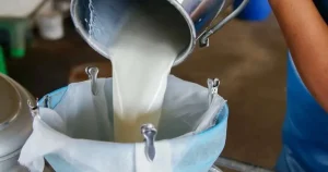 turkiyede-sut-uretimi-yukseliyor-martta-1-milyon-15-bin-ton-sut-toplandi-iAfTfLbC.webp
